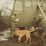 «Mortero»: Por Francina y Luisina