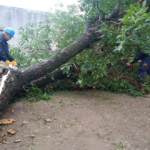 La Provincia asiste a localidades del sudeste afectadas por el temporal