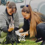 Campaña de Vacunación Antirrábica 2026 en San Basilio